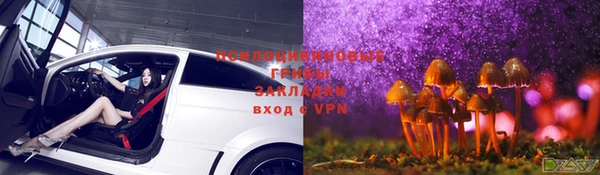 альфа пвп Елизово
