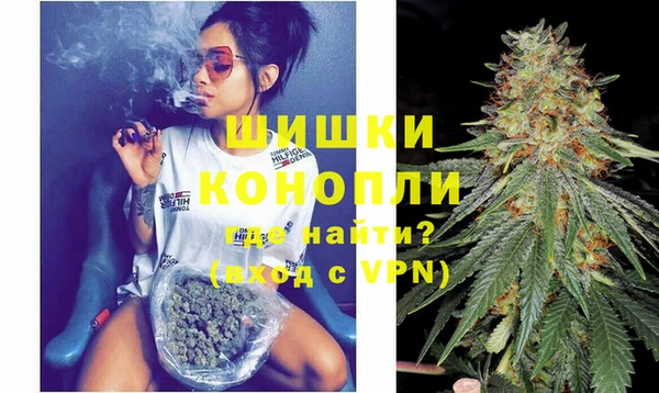 соль ск Ельня