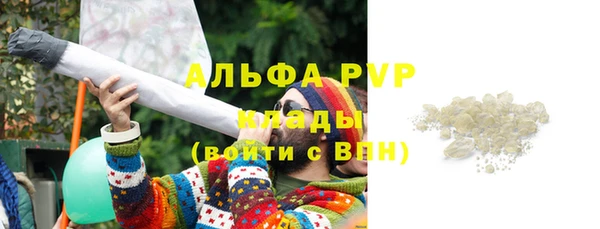 соль ск Ельня
