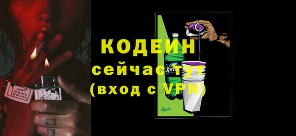 мдпв Елабуга