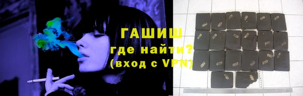 соль ск Ельня