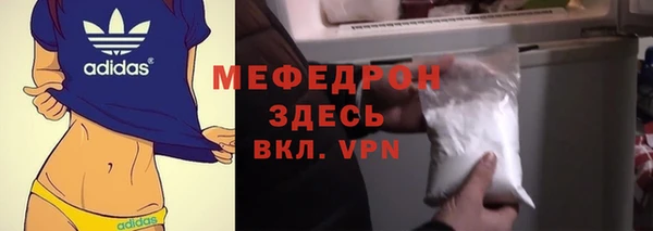 соль ск Ельня