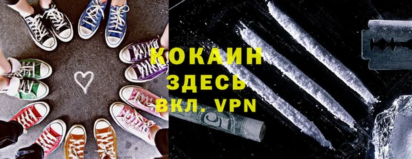 соль ск Ельня