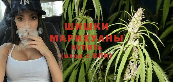альфа пвп Елизово