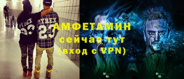 соль ск Ельня