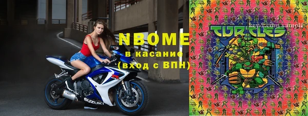 мдпв Елабуга