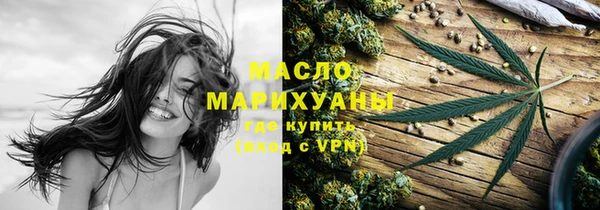 соль ск Ельня