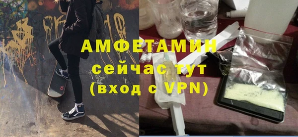 соль ск Ельня