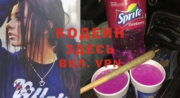 мдпв Елабуга