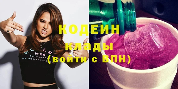 мдпв Елабуга