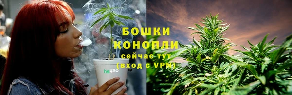 мдпв Елабуга