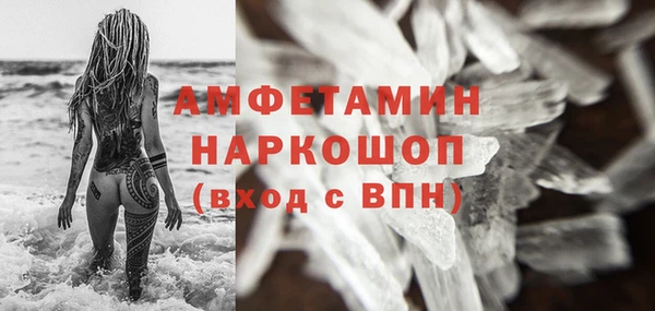 мдпв Елабуга