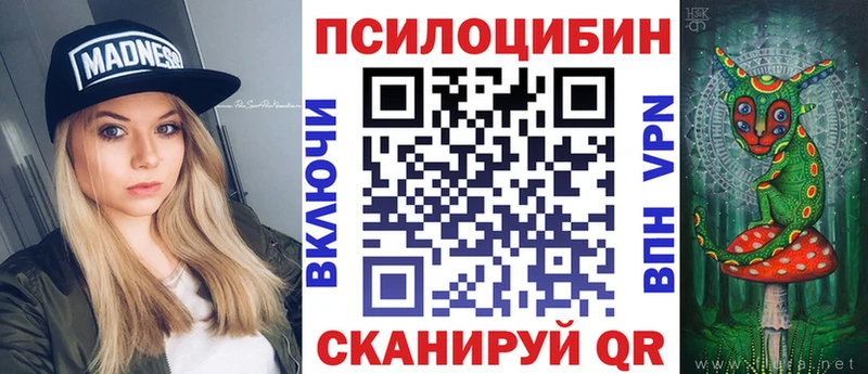 Галлюциногенные грибы Psilocybe  Купить где  Тихвин 